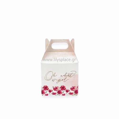 Lunch box λευκό με εκτύπωση μίνι